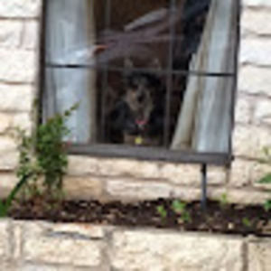 Meet your Posher, Xrisanthy